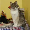 Отзыв от Зинаида Фадеева